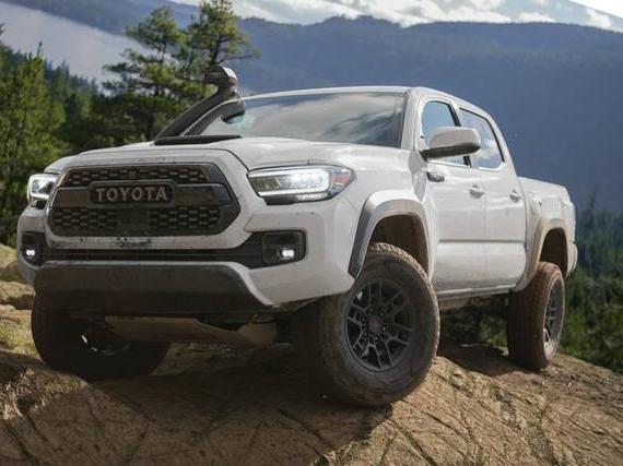 TOYOTA TACOMA 2023 3TMCZ5AN8PM587078 image