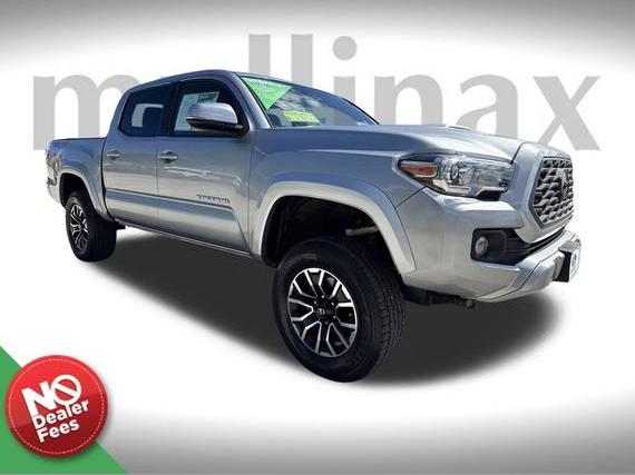 TOYOTA TACOMA 2023 3TMCZ5AN3PM631987 image TOYOTA TACOMA 2023 3TMCZ5AN3PM631987 image