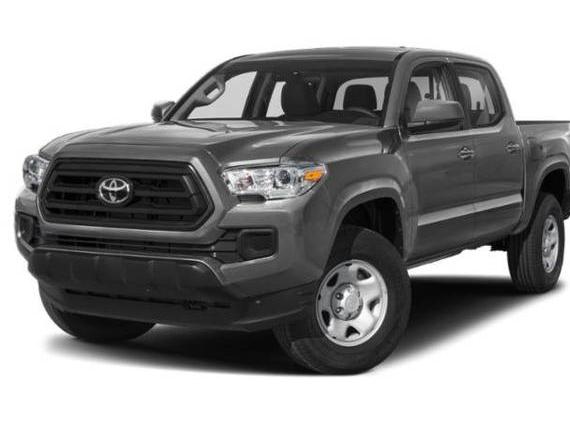 TOYOTA TACOMA 2023 3TMCZ5AN1PM610166 image