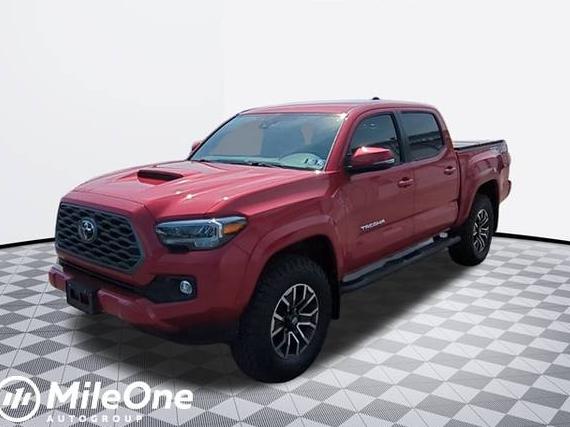 TOYOTA TACOMA 2023 3TMCZ5AN9PM554817 image