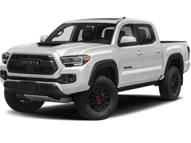 TOYOTA TACOMA 2023 3TMCZ5AN3PM552643 image