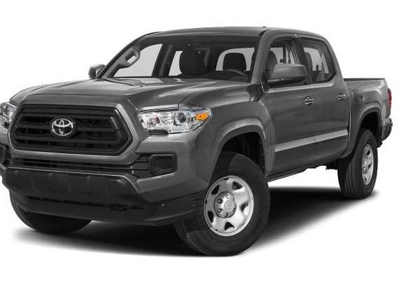 TOYOTA TACOMA 2023 3TMCZ5AN3PM606930 image
