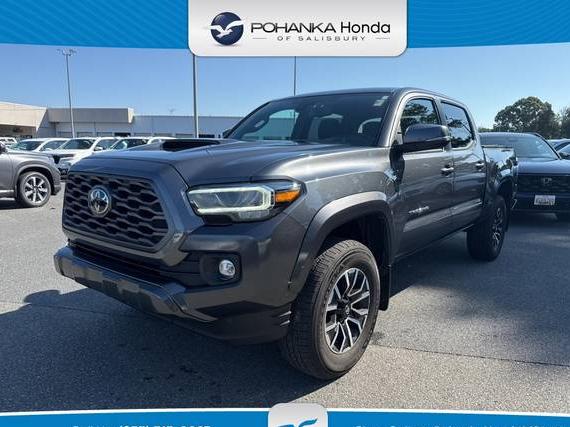 TOYOTA TACOMA 2023 3TMCZ5AN3PM549807 image