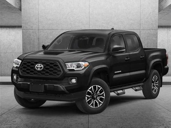 TOYOTA TACOMA 2023 3TMCZ5AN8PM618345 image