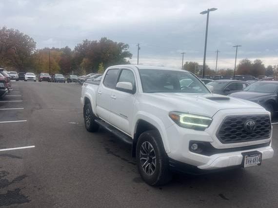 TOYOTA TACOMA 2023 3TMCZ5AN8PM587744 image TOYOTA TACOMA 2023 3TMCZ5AN8PM587744 image