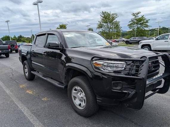 TOYOTA TACOMA 2023 3TMCZ5AN0PM645961 image