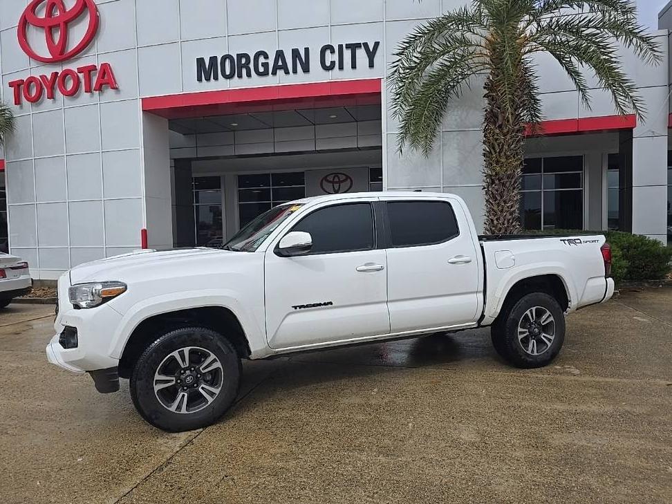 TOYOTA TACOMA 2019 5TFAZ5CN1KX081325 image