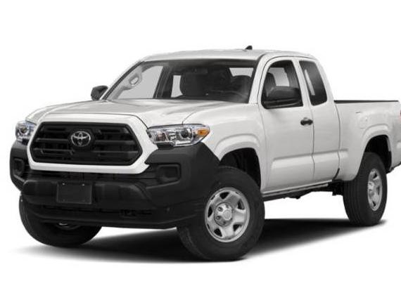 TOYOTA TACOMA 2019 5TFSX5EN1KX066007 image