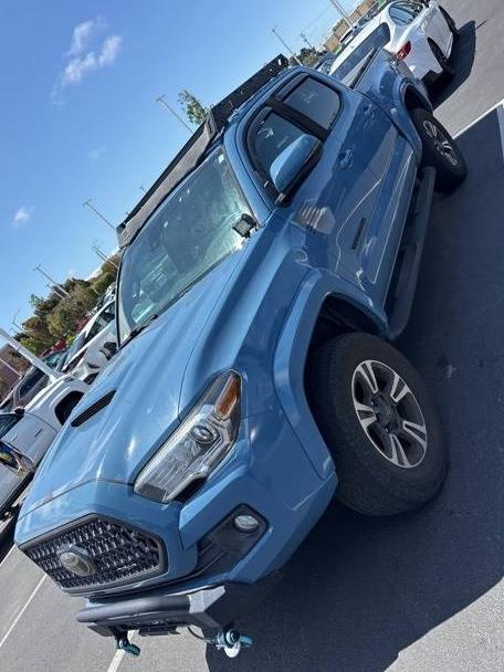 TOYOTA TACOMA 2019 3TMCZ5AN3KM281334 image
