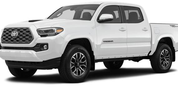TOYOTA TACOMA 2020 3TMCZ5AN8LM364520 image