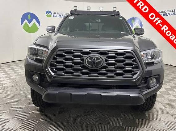 TOYOTA TACOMA 2022 3TMCZ5AN6NM520279 image