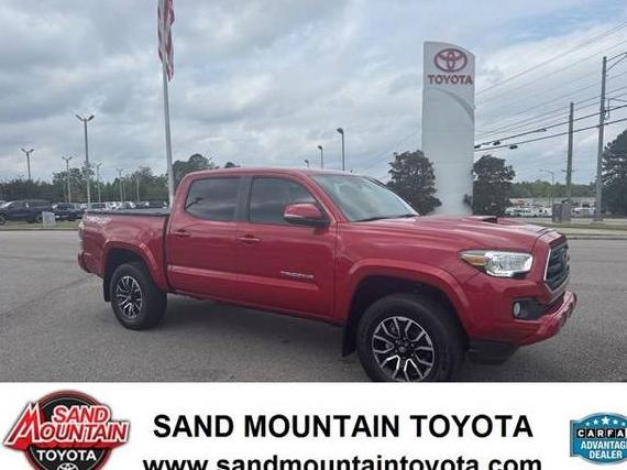 TOYOTA TACOMA 2022 3TMCZ5AN7NM531016 image