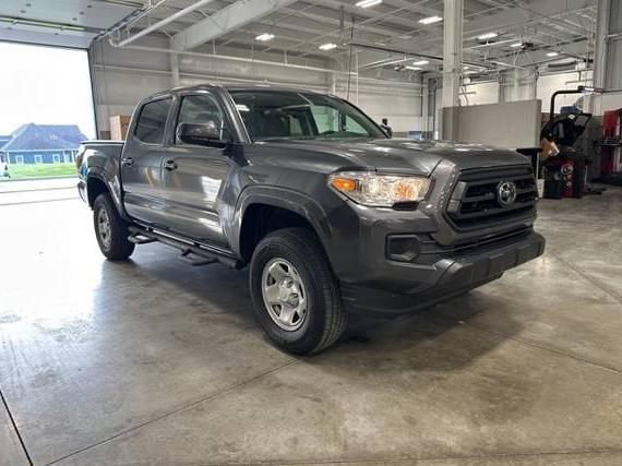 TOYOTA TACOMA 2022 3TMCZ5AN4NM531376 image