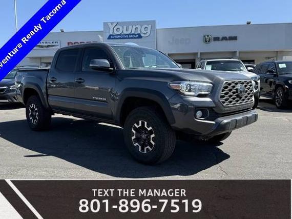 TOYOTA TACOMA 2022 3TMCZ5AN4NM481112 image