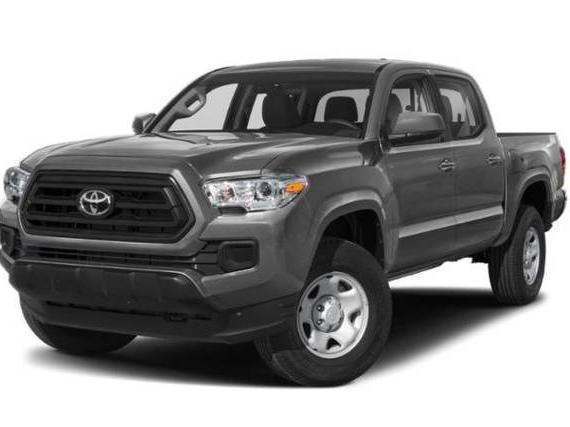 TOYOTA TACOMA 2022 3TMCZ5AN2NM516276 image