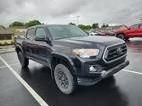 TOYOTA TACOMA 2022 3TMCZ5AN0NM497470 image