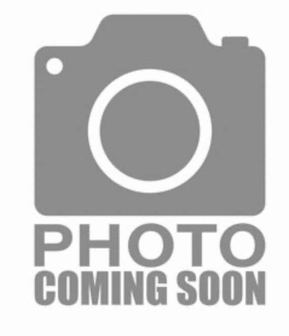 TOYOTA 4-RUNNER 2023 JTERU5JRXP6200294 image