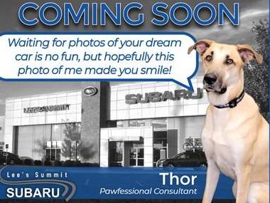 SUBARU CROSSTREK 2019 JF2GTAEC9K8227305 image