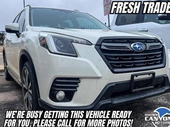 SUBARU FORESTER 2023 JF2SKAPC0PH491028 image