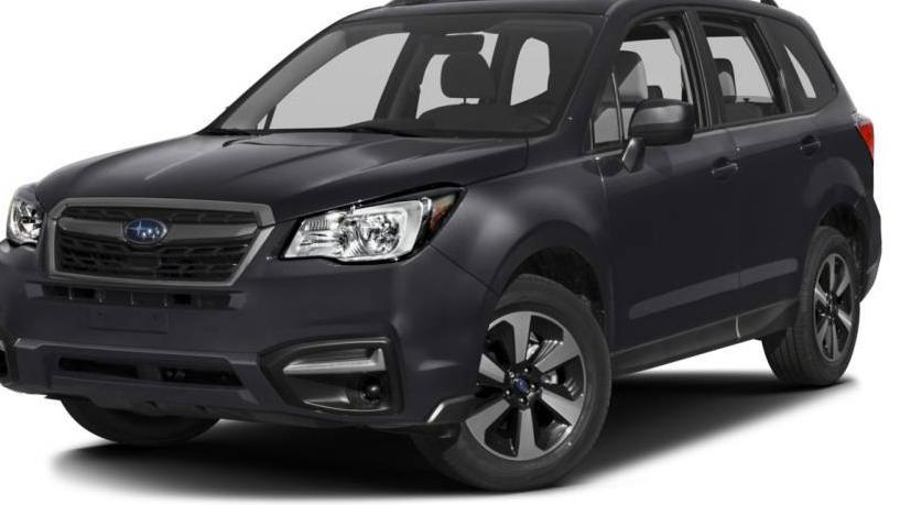 SUBARU FORESTER 2017 JF2SJAEC5HH491310 image