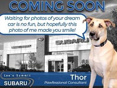 SUBARU FORESTER 2024 JF2SKAJC8RH520187 image