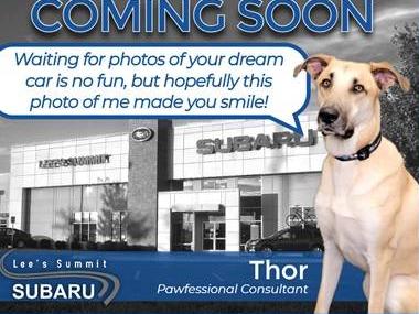 SUBARU ASCENT 2024 4S4WMAED4R3442951 image SUBARU ASCENT 2024 4S4WMAED4R3442951 image