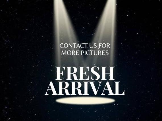 SUBARU OUTBACK 2024 4S4BTADC6R3264020 image