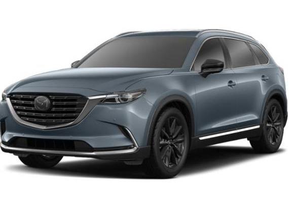 MAZDA CX-9 2022 JM3TCBDY7N0613246 image