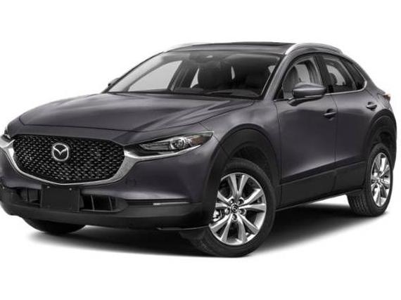 MAZDA CX-30 2023 3MVDMBDM4PM511389 image