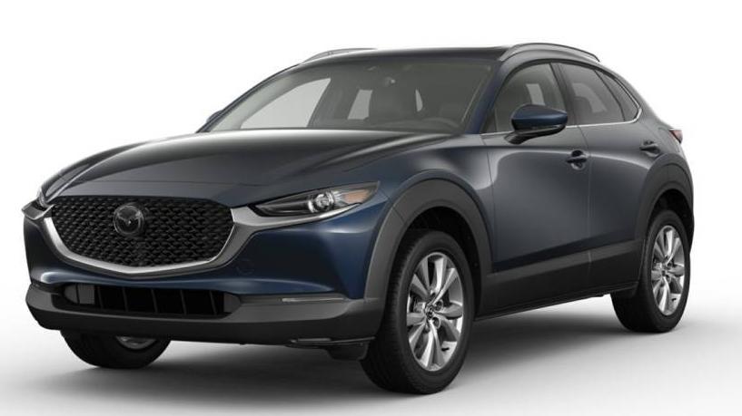 MAZDA CX-30 2023 3MVDMBDM8PM585558 image