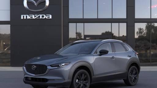 MAZDA CX-30 2023 3MVDMBCM3PM576011 image