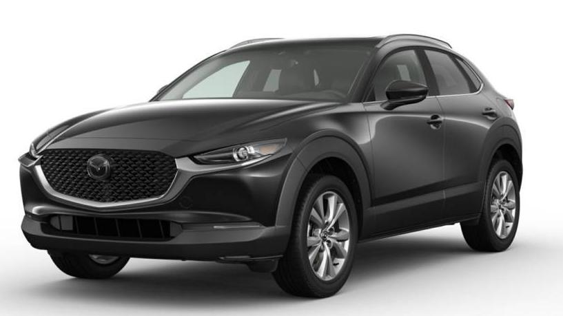 MAZDA CX-30 2023 3MVDMBCM1PM561636 image