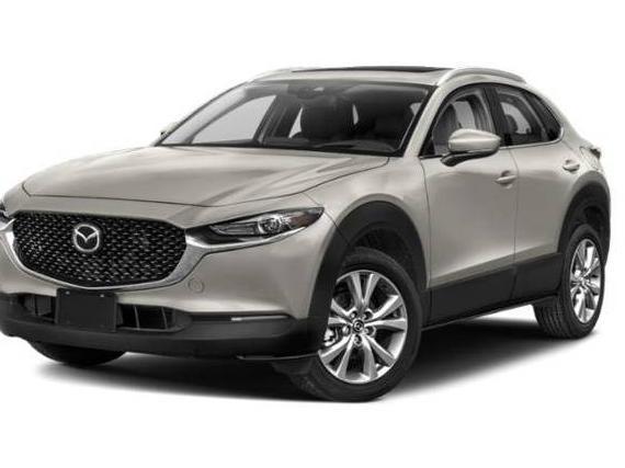 MAZDA CX-30 2023 3MVDMBDM0PM551937 image