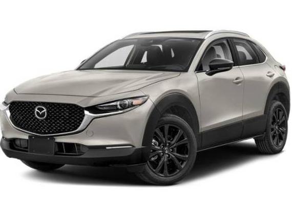 MAZDA CX-30 2023 3MVDMBDY3PM588645 image