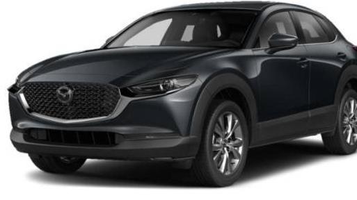 MAZDA CX-30 2023 3MVDMBAM1PM510026 image