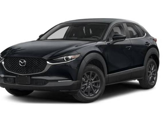 MAZDA CX-30 2023 3MVDMBCM8PM552481 image