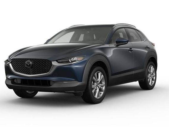 MAZDA CX-30 2023 3MVDMBDMXPM559043 image