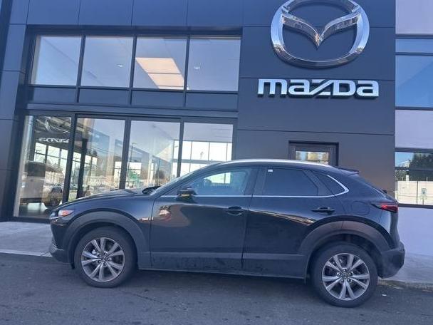 MAZDA CX-30 2023 3MVDMBCM0PM523086 image