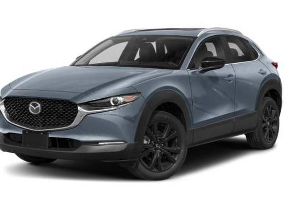 MAZDA CX-30 2023 3MVDMBCM9PM516430 image