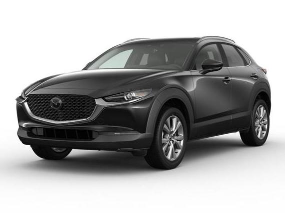 MAZDA CX-30 2023 3MVDMBCM8PM532554 image