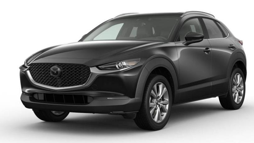 MAZDA CX-30 2023 3MVDMBCM3PM515127 image