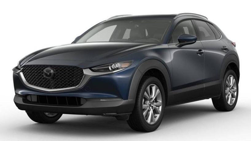 MAZDA CX-30 2023 3MVDMBDM0PM527377 image