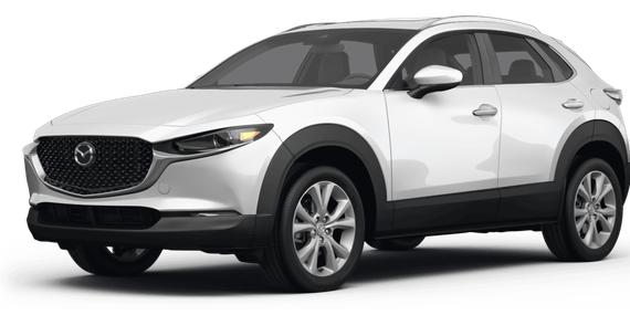 MAZDA CX-30 2023 3MVDMBCM9PM510417 image