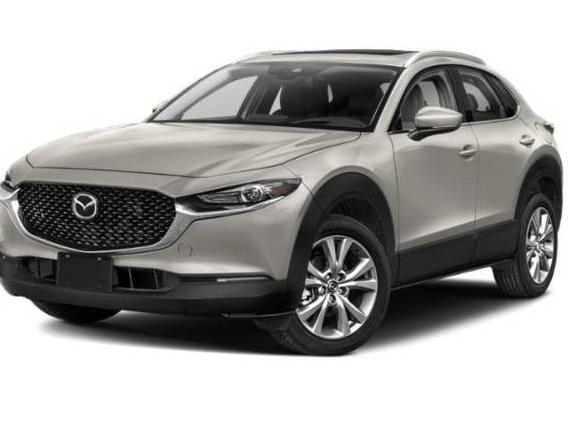 MAZDA CX-30 2023 3MVDMBDM3PM518107 image
