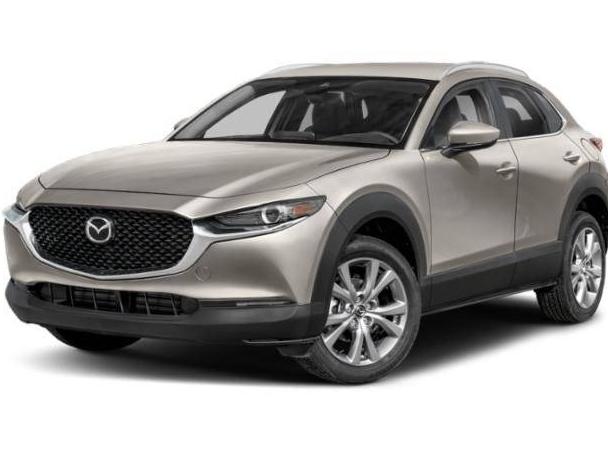 MAZDA CX-30 2023 3MVDMBBM7PM529968 image