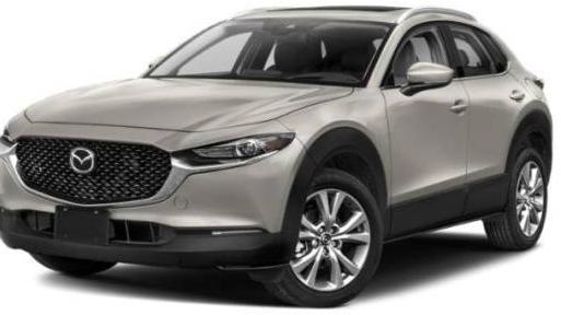 MAZDA CX-30 2023 3MVDMBDMXPM518752 image