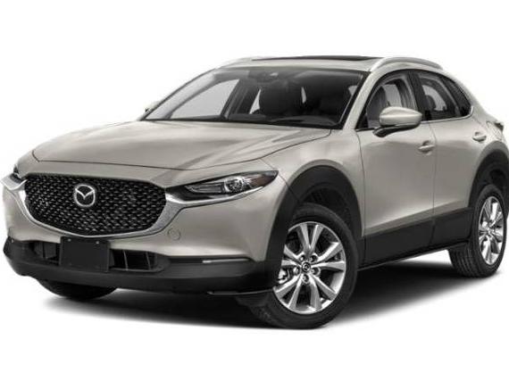 MAZDA CX-30 2023 3MVDMBDM8PM503103 image