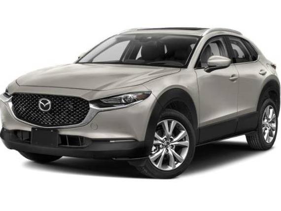 MAZDA CX-30 2023 3MVDMBDM3PM504465 image