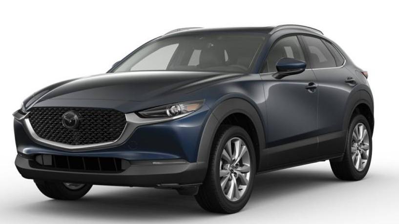 MAZDA CX-30 2023 3MVDMBDMXPM524907 image