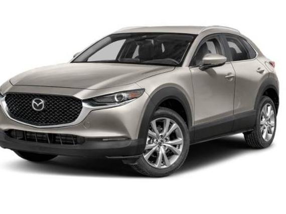 MAZDA CX-30 2023 3MVDMBBM1PM553263 image